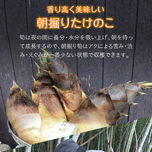薪で炊いた柔らか仕立てのたけのこ水煮４袋