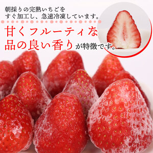 冷凍いちご きらぴ香 3kg 苺 冷凍いちご 【森木農園】