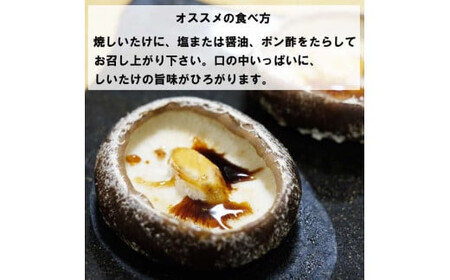 朝採り新鮮！分厚いしいたけ　チビしいたけセット