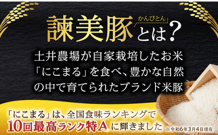 諫美豚切り落とし(ウデ、モモ) 1.5kg(300g×5) / 豚肉 ぶたにく 切り落とし スライス パック 小分け / 諫早市 / 株式会社土井農場 [AHAD061]