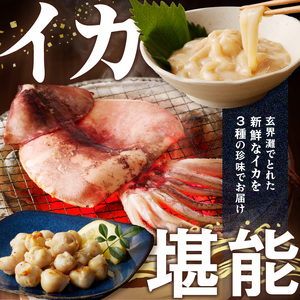 イカの珍味 3点セット｜イカ一夜干し 干物 塩辛 とんび 酒の肴 珍味 おつまみ【A153】