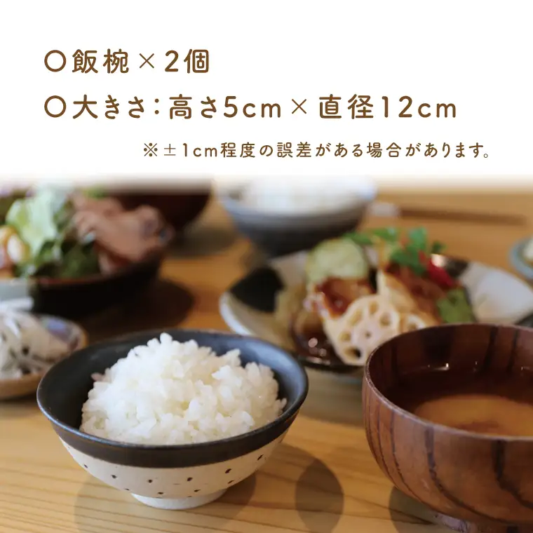 益子焼 飯碗ペア ドット柄 白地白釉×白地黒釉 益子町 AS002-5