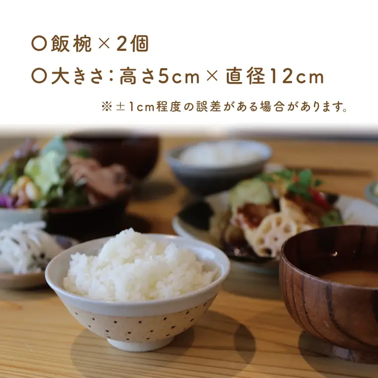 益子焼 飯碗ペア ドット柄 白地白釉×黒地黒釉 益子町 AS002-7