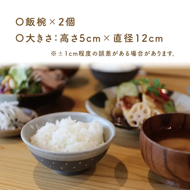 益子焼 飯碗ペア ドット柄 白地黒釉×黒地白釉 益子町 AS002-8