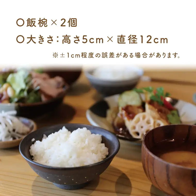 益子焼 飯碗ペア ドット柄 白地黒釉×黒地黒釉 益子町 AS002-9