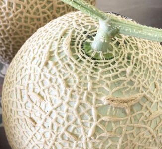 a36-008　訳あり 静岡マスクメロン【1玉】×定期便3回【定期便】 訳あり OR FN-SupportProject OR 増量 OR 年末企画 訳あり