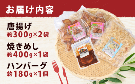 冷凍食品 セット 唐揚げ 焼きめし ハンバーグ ASAHI特製 株式会社きむら 冷凍食品 J010-126004