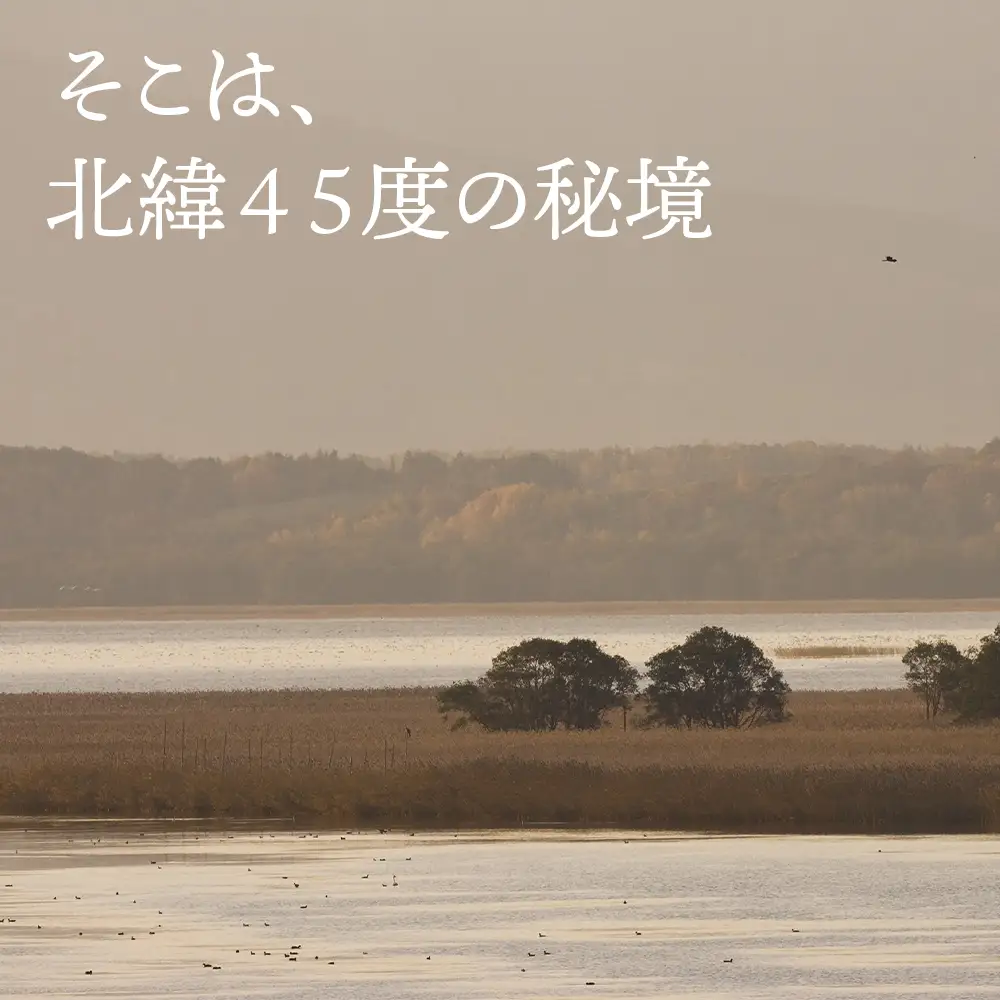 カヌー 体験 チケット 1名様《クッチャロ湖エコワーカーズ》秘境 ショートコース クッチャロ湖 アウトドア