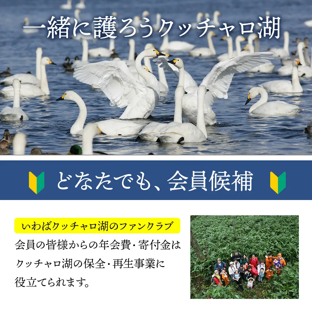 個人サポーター 会員 年会費 1名様《クッチャロ湖エコワーカーズ》入会 応援 クッチャロ湖