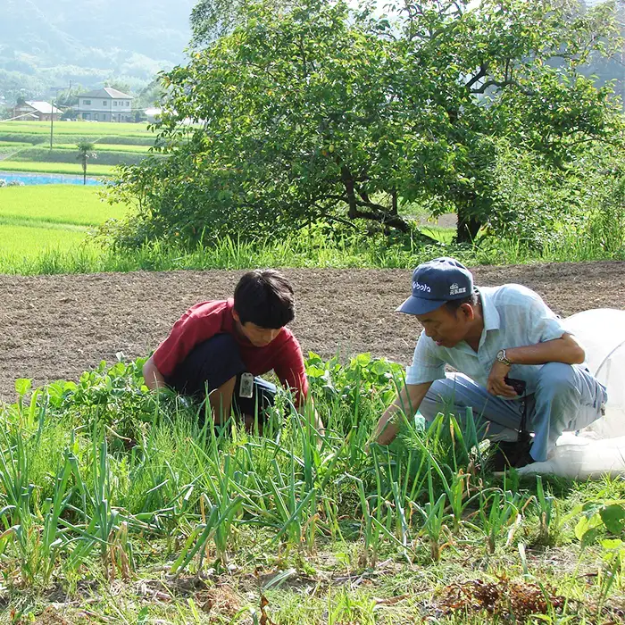 【千葉県鴨川市】農家民泊＆農業体験 ２名様 [0090-0002]