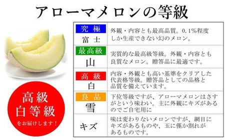 【通年出荷】 高級 マスクメロン 白級 1玉  化粧箱入 