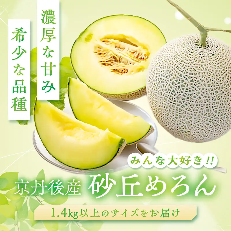 【メロン】訳あり 砂丘メロン 1玉 | 2026年