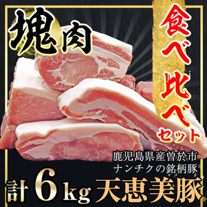 鹿児島県産 天恵美豚 BBQ ブロック セット 豚バラ ロース 肩ロース モモ ウデ 豚肉 (計6kg) 【アグリおおすみ】D28-v01