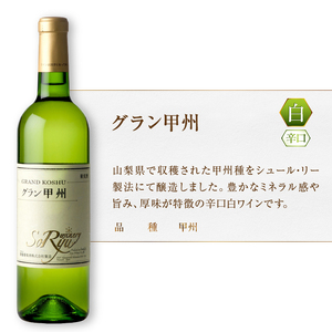 ワイン 蒼龍葡萄酒のスタンダードワイン赤白ロゼ5本セット（MG）C7-651