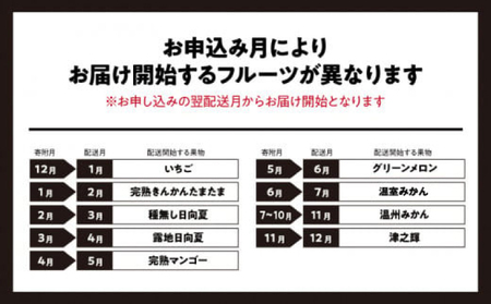 青果店厳選！「くだもの定期便Vol.2」(全9回) いちご きんかん 日向夏 マンゴー メロン みかん