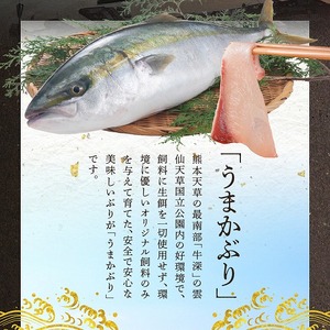 S137-003_【天草育ち】活じめ！新鮮うまかぶり　まるまる1本！（内臓処理済）約4kg