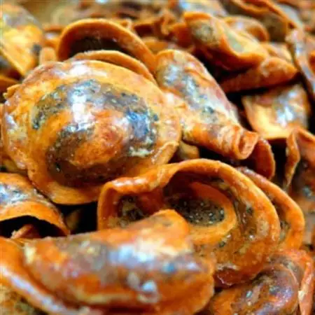 志たあめやの人気者お試しセット_菓子・スイーツ ケーキ    菓子・スイーツ 和菓子  _【配送不可地域：離島】【1406901】