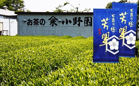 老舗の高級深蒸し煎茶「百年の極 芳翠」