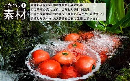 阿蘇ものがたりのとまとケチャップ5点セット