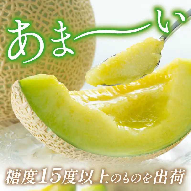 【先行予約／数量限定150】砂姫メロン1玉！（2026年6月下旬～発送）メロン