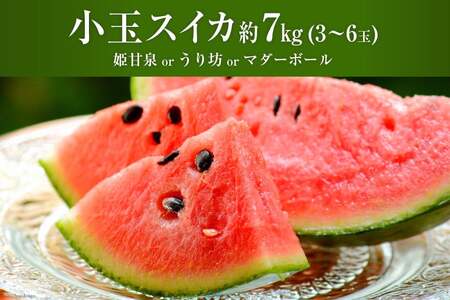 AH006 夏の定番 小玉すいか 約7kg（3～6玉） [ 長崎県 島原市 ]