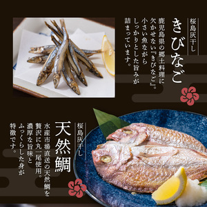 桜島灰干し 5種詰合せ K178-001 魚 冷凍