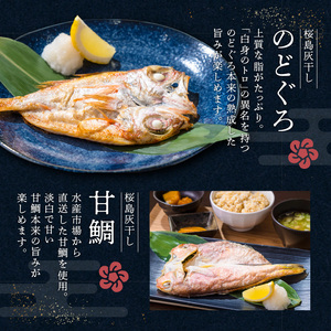 桜島灰干し 5種詰合せ【特選】 K178-002 魚 冷凍