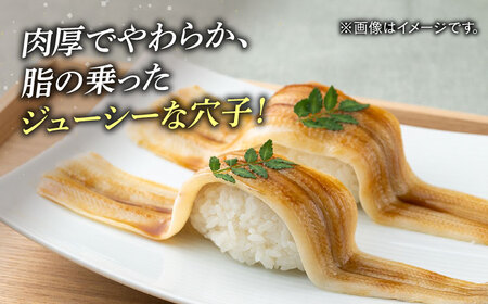 【全12回定期便】対馬 穴子 開き 800g [WAD031]アナゴ あなご 天ぷら 穴子重