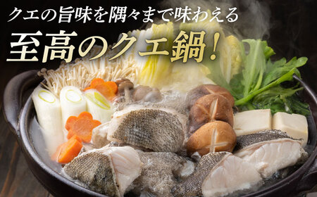 【全12回定期便】幻の魚 クエ 鍋 セット 800g [WAD034] ちり鍋 アラくえ クエ 希少 クエ鍋