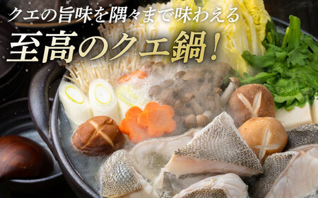 【全3回定期便】幻の魚 クエ 鍋 セット 400g [WAD035] ちり鍋 アラ くえ クエ 希少 クエ鍋 
