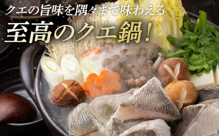 【全12回定期便】幻の魚 クエ 鍋 セット 400g [WAD037] ちり鍋 アラくえ クエ クエ鍋