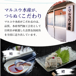 鱧三昧セット(合計480g・3種×各2P)はも ハモ 湯引き タタキ たたき 骨切り 海鮮 おつまみ 梅肉 酢みそ 酢味噌 タレ たれ 国産 小分け 冷凍 魚介 食べ比べ 詰め合わせ 詰合せ 宮崎県産【MR-6】【マルユウ水産】