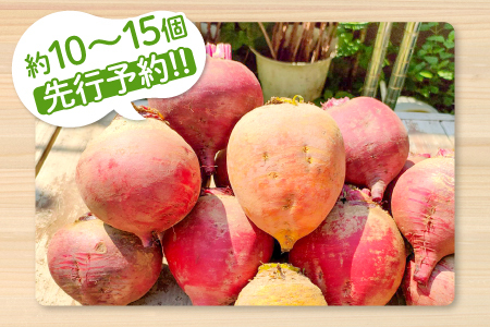 【季節限定品】あまくて真っ赤なビーツ2.5㎏【ビーツ 食べる輸血 奇跡の野菜  健康野菜 スーパーフード カエンサイ ボルシチ ポタージュ スムージー スイーツ ビタミン】
