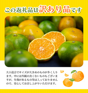  訳あり みかん 極早生温州みかん 約6.5kg サイズおまかせ 【njb690C】