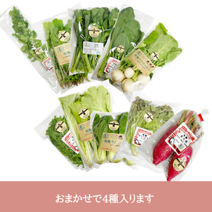 有機野菜おまかせ4種セット０６ 有機野菜 おまかせ 4種 セット 新鮮 九州屋ファーム 明野 山梨県 北杜市  [h216]