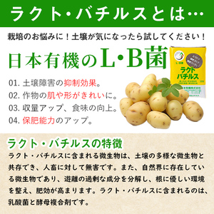 乳酸菌 土壌 改良 剤「ラクト・バチルス」(400g×2袋) 畑 家庭菜園 果樹園【日本有機】A382-v01