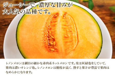 【数量限定・先行予約】 おみたまレノンメロン 赤肉 約5kg 4玉～5玉 秀品 【7月11日まで受付・6月以降順次発送予定】 52-A