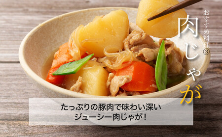 【訳あり】宮崎県産豚切り落とし5kg(500g×10パック)  K16_0055_3