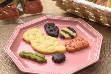 はまなかのせかえ　ラッコクッキーセット　クッキー 10個 セット ココア 抹茶 はまなかのせかえ ラッコ 焼き菓子 お菓子 おやつ 手土産 贈答 ギフト プレゼント 個包装 北海道 浜中町 霧多布岬 常温 食品 お取り寄せ 送料無料_H0034-101