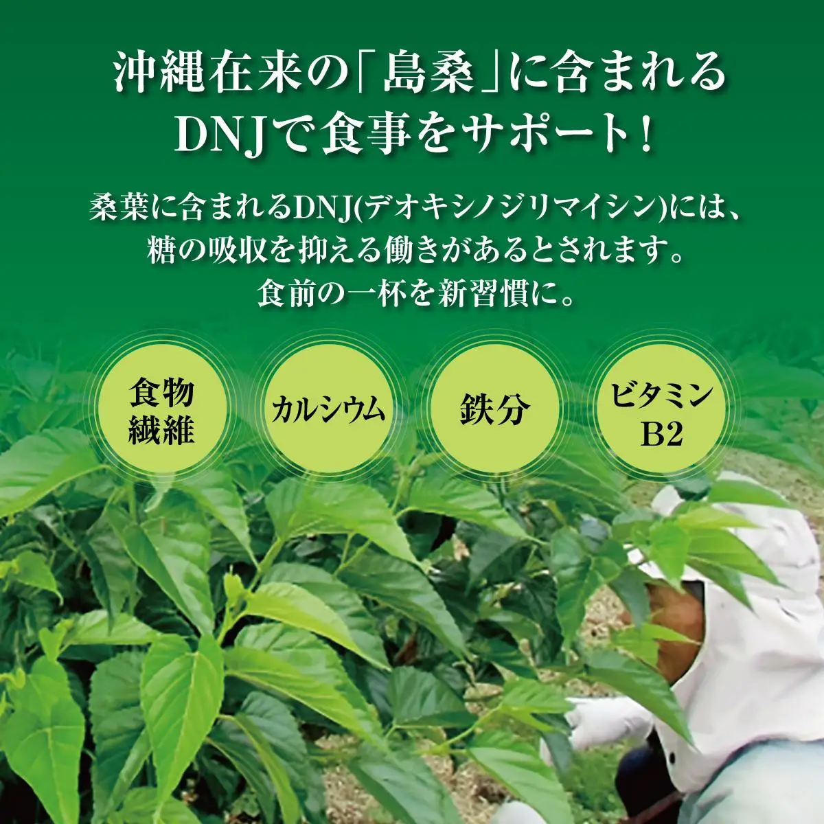 美味しいものを食べたい方へ！島桑3種セット   