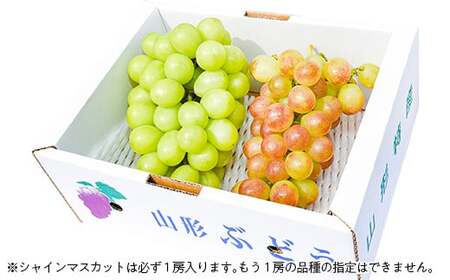 【先行予約2026年度発送】山形県産 ぶどう 詰め合わせ （シャインマスカット1房＋品種おまかせ１房 計2房） マスカット ブドウ 葡萄 デザート フルーツ 果物 くだもの 果実 食品 山形県 FSY-0663