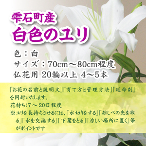 ユリ専門農家 猿子園芸 が贈る 雫石町産 白色 ユリ 20輪 以上 4本 ～ 5本 仏花用 ／ ゆり 百合 白 花 お花 花き 生花 フラワー HANA 花束 仏花 お供え 供花 慶弔 仏事 法事 お悔やみ 命日 1周忌 一周忌 3回忌 三回忌 7回忌 七回忌 四十九日 仏壇 墓参り おすすめ