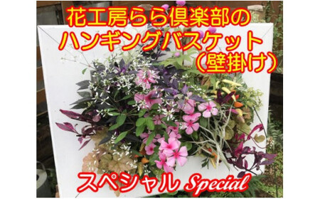 東北最大級のガーデニング専門店 厳選 『ハンギングバスケット』スペシャル 壁掛けタイプ 12種類 ～ 14種類 【花工房らら倶楽部】 花 生花 フラワー 植物 観葉植物 バスケット 季節 インテリア ガーデニング 庭 玄関 ベランダ 国産 産地直送 期間限定 人気 おすすめ 予約 早期予約 先行予約