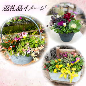 東北最大級のガーデニング専門店 厳選 『季節の寄せ植え』雅 8種類 ～ 10種類 【花工房らら倶楽部】 花 生花 フラワー 植物 観葉植物 寄せ植え 季節 鉢植え 鉢 ポット ガーデニング 庭 玄関 ベランダ 国産 産地直送 期間限定 人気 おすすめ 予約 早期予約 先行予約