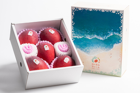 【 先行予約 2026年 発送 】コーラルファーム アップルマンゴー 2kg (4～6玉) 秀品 沖縄県産 マンゴー アーウィンマンゴー 2キロ 国産 完熟マンゴー 果物 くだもの フルーツ 完熟 夏 沖縄 お取り寄せ ギフト 産地直送 農家直送 糸満市