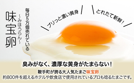 朝獲れ卵 味宝卵 (30個) 卵 Lサイズ 送料無料 鶏卵《90日以内に出荷予定(土日祝除く)》