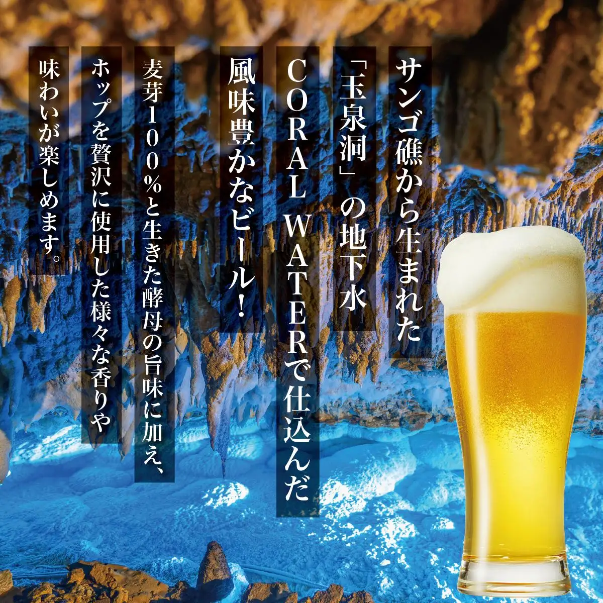 沖縄サンゴビール 定番3種 6本セット   
