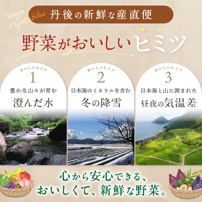 直売所直送 「京都・京丹後産 季節の野菜」お任せ詰め合わせBOX（5品） 春夏秋冬定期便4回 コシヒカリ精米 京野菜 季節 新鮮 ふるさと納税 野菜