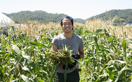 とうもろこし 桃太郎コーン うしまどんな 約4kg 8～12本入り 食べ比べ とうもろこし