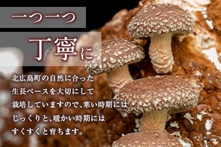 吉木椎茸農園　肉厚生椎茸と季節のきのこセット_YO087_001